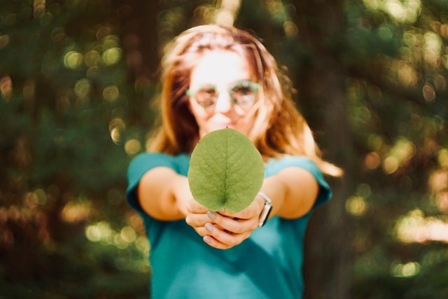 Une Rentrée Verte : 7 Conseils pour un Impact Environnemental Positif